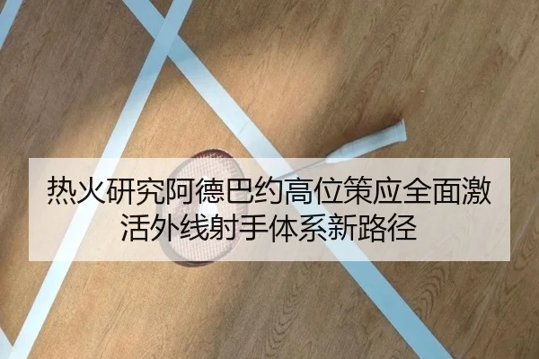 热火研究阿德巴约高位策应全面激活外线射手体系新路径
