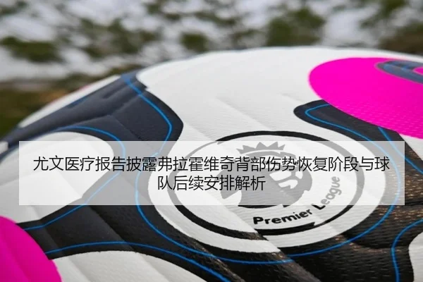 尤文医疗报告披露弗拉霍维奇背部伤势恢复阶段与球队后续安排解析